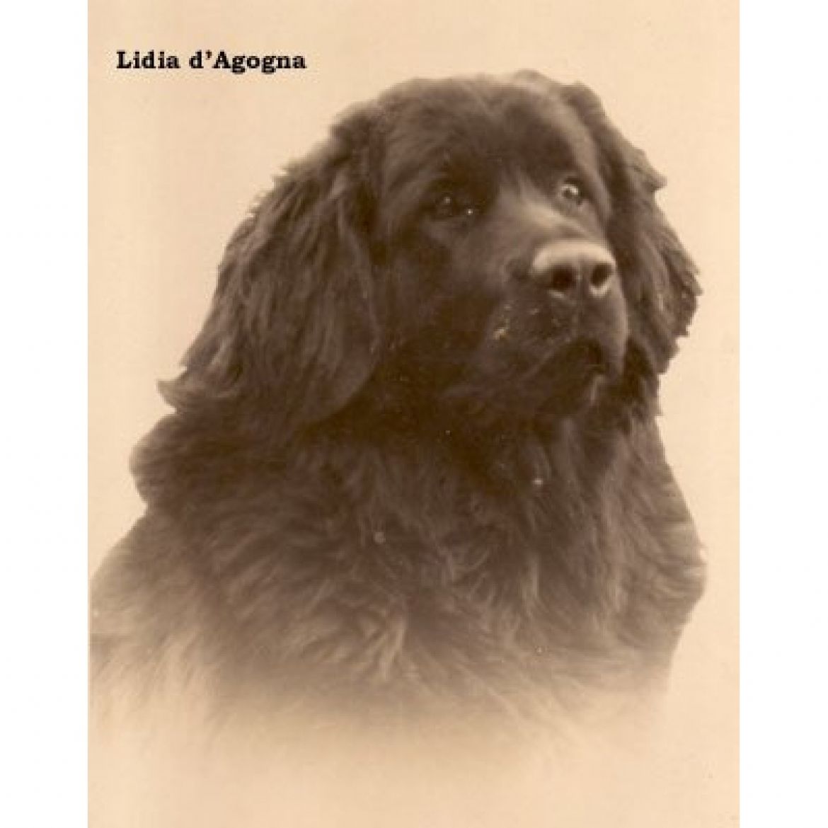T Lidia dell'agogna (23-04-1937)